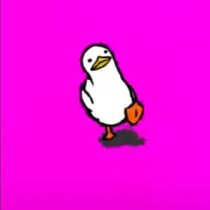 Meet your Posher, Cole